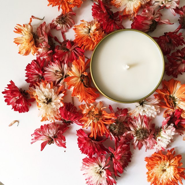 29765285613_9245c679e0_k